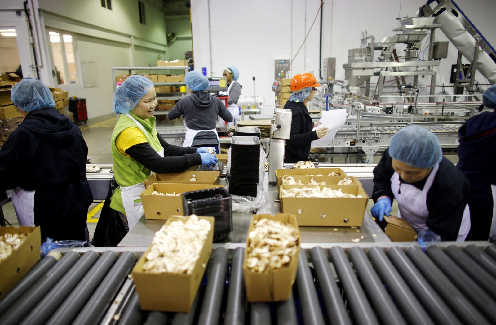 Canada Factory Worker